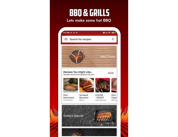 BBQ Recipes for Android - Download the APK from Habererciyes